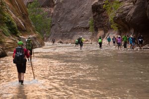 Downstream from Orderville Canyon the day trippers caom