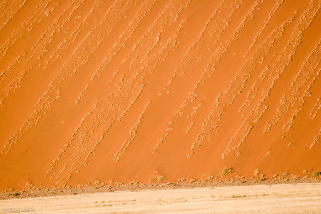 Dune Detail