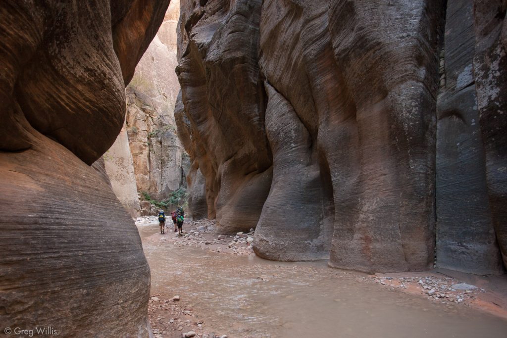 Undulating Walls of the Zion Narrows Hike