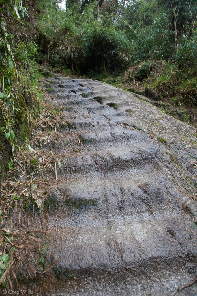 Carved Stairs on the Inca Trail