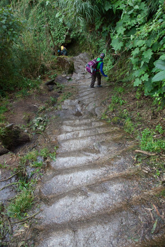 Carved Stairs on the Inca Trail