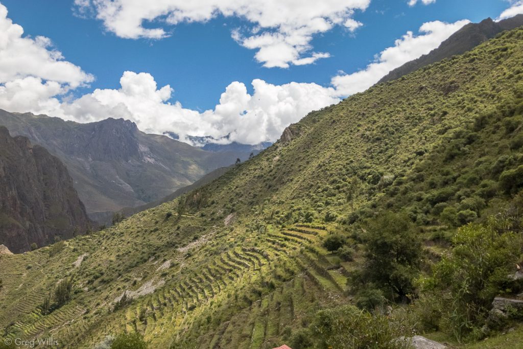 Pumamarca Trail: Patacancha Valley