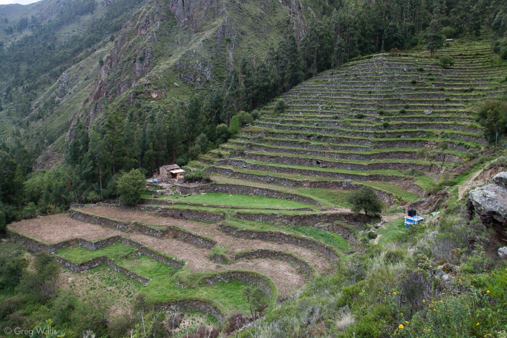 Pumamarca Trail: Terraces