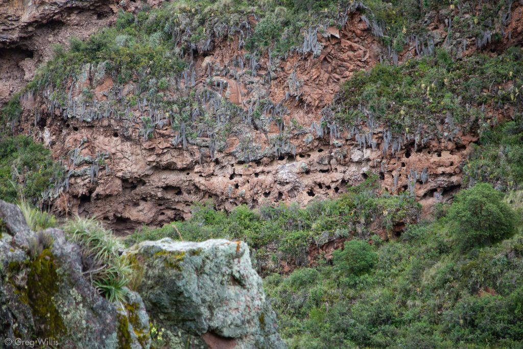 Inca Cliff Tombs, Qalla Q'asa, Pisac