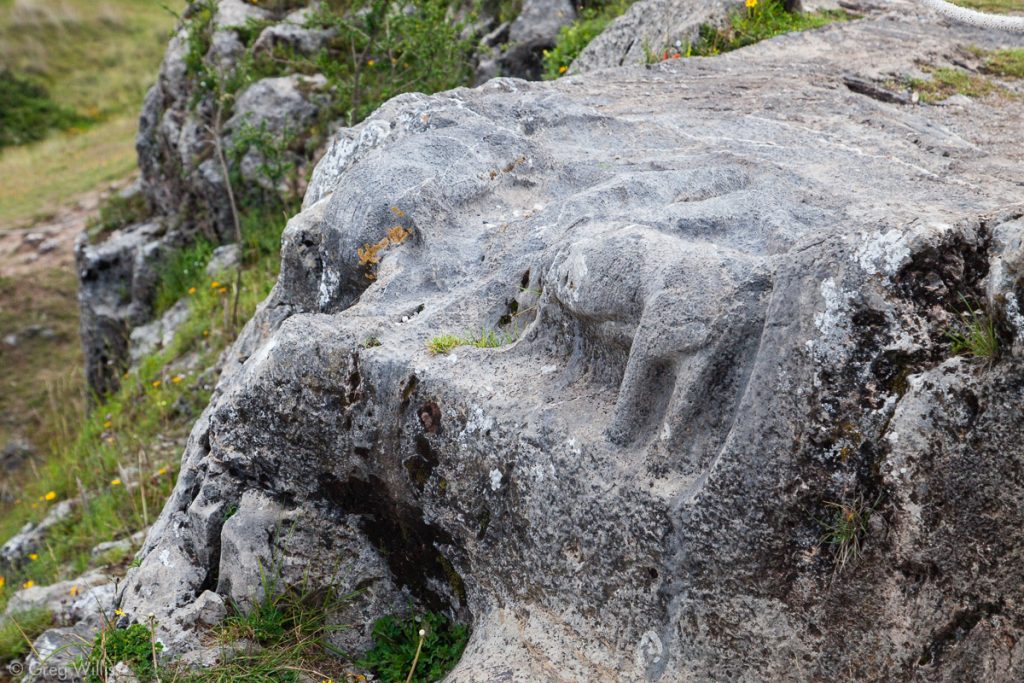Laqo, Carving of a Puma