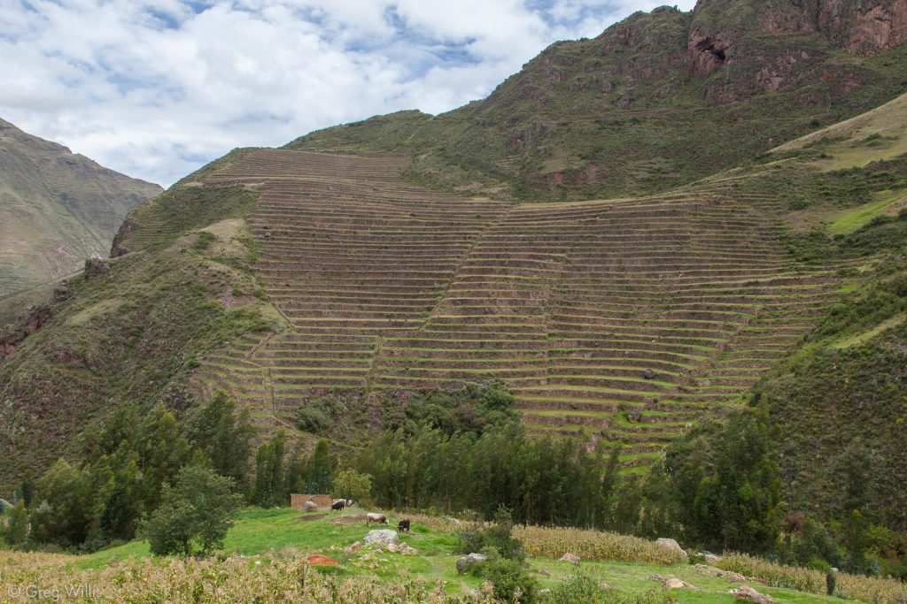Pisac Terraces in the Chongo Valley