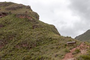 Trail Up, PIsac