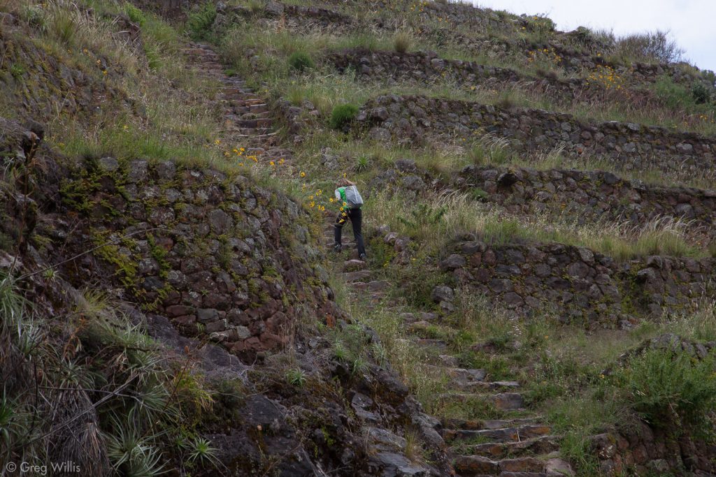 Walking up the Huimin section of Terraces, Pisac
