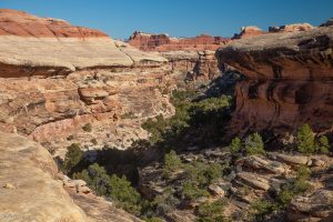 Descending into Lost Canyon