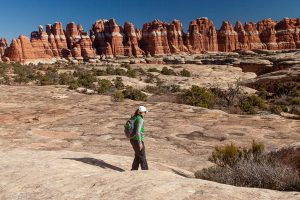 Into Elephant Canyon