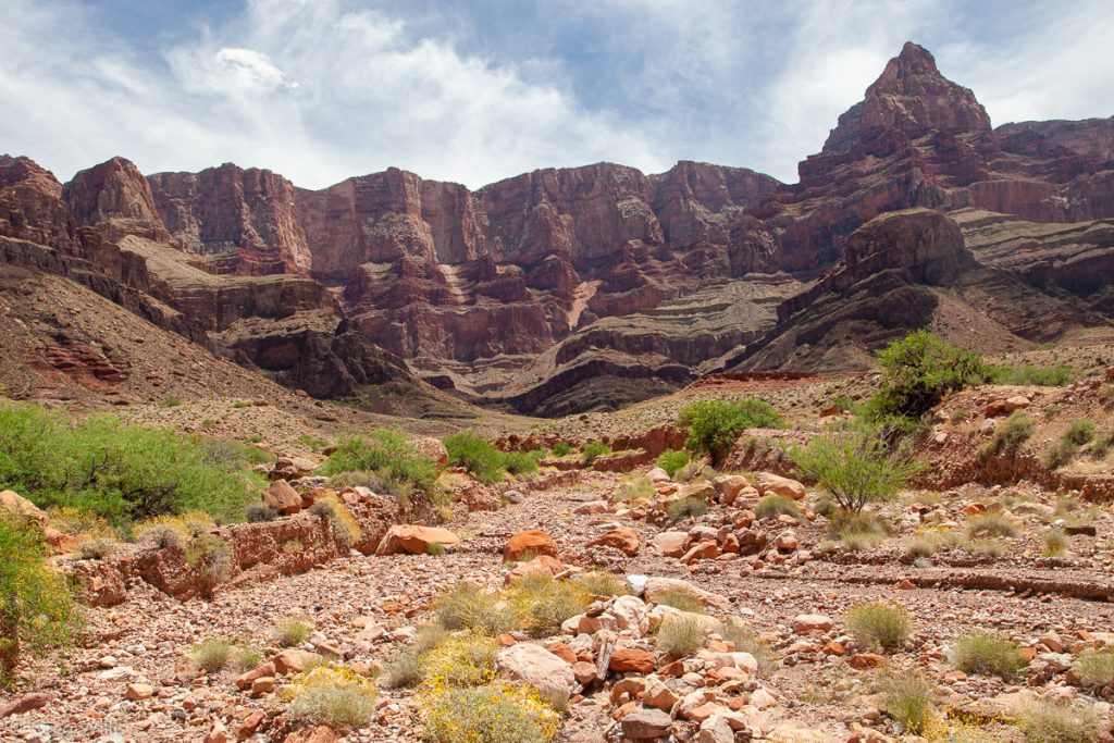 Palisades of the Desert with Comanche Point