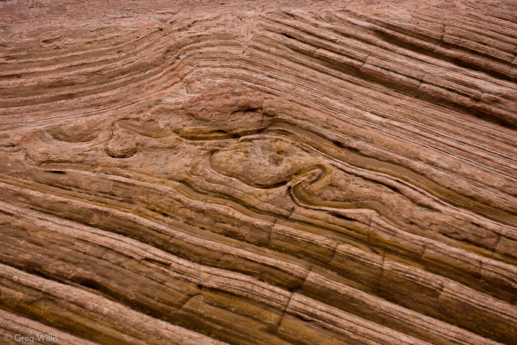 Fold in the Sandstone