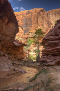 Coyote Gulch Canyon Wall