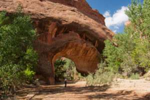 Coyote Natural Bridge