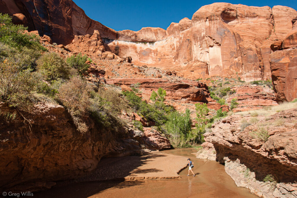 Crossing the Creek in Coyote Gulch