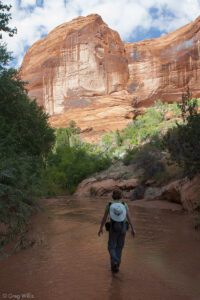 H in Coyote Gulch