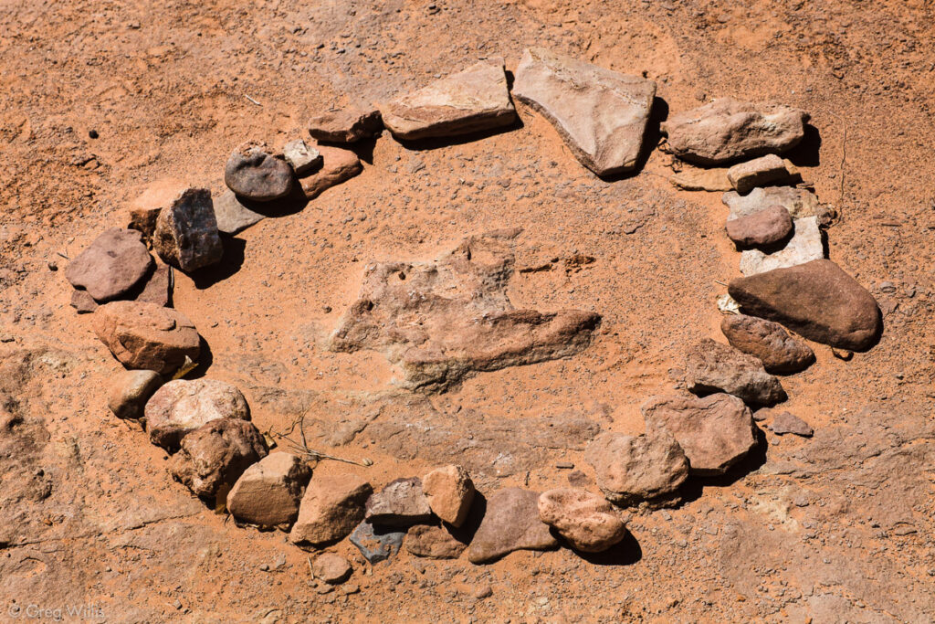 Dinosaur Footprint