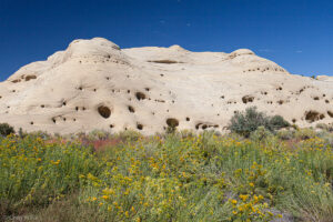 Near Twentymile Dinosaur Trackway Trailhead