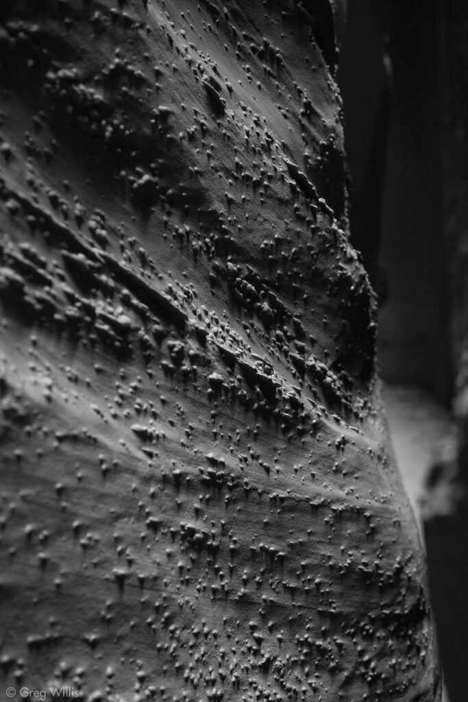 Sandstone Detail in Spooky Slot