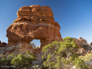 Beehive Arch